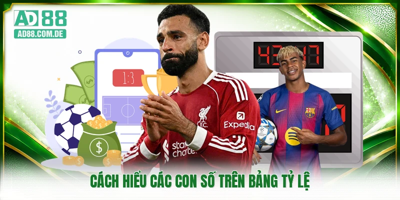 Cách hiểu các con số trên bảng tỷ lệ
