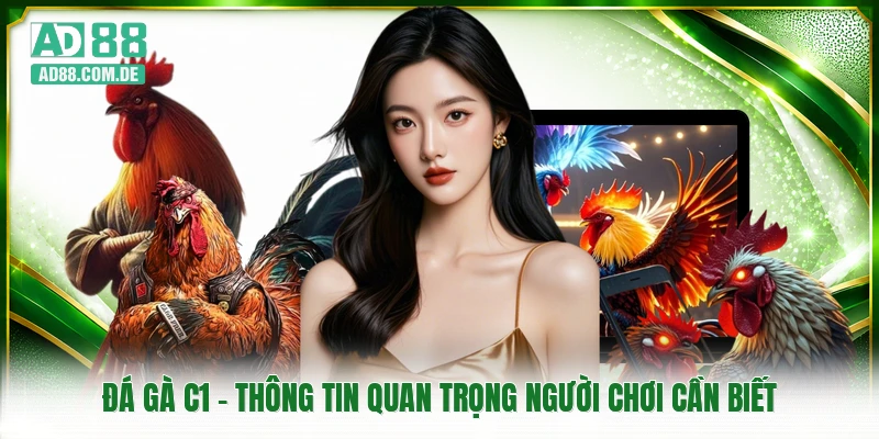 Đá Gà C1 - Thông Tin Quan Trọng Người Chơi Cần Biết