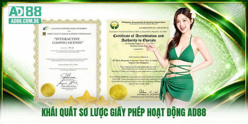 Khái quát sơ lược giấy phép hoạt động AD88