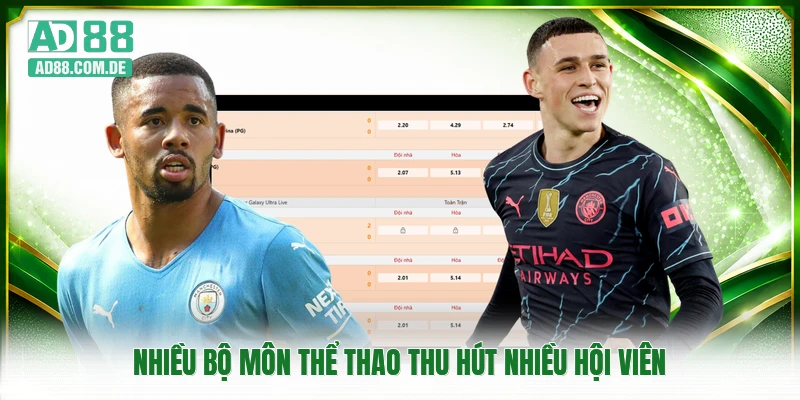 Nhiều bộ môn thể thao thu hút nhiều hội viên