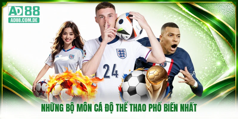 Những bộ môn cá độ thể thao phổ biến nhất