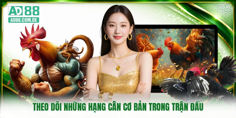 Theo dõi những hạng cân cơ bản trong trận đấu